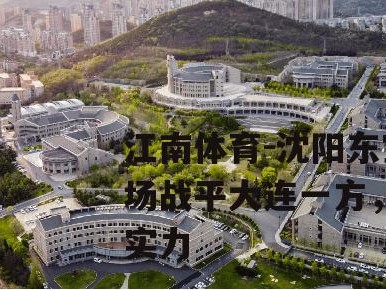 江南体育-沈阳东宝主场战平大连一方，展现实力