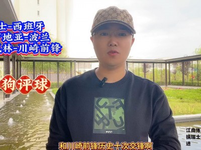 江南体育-波兰主场力擒瑞士，向晋级大门迈进