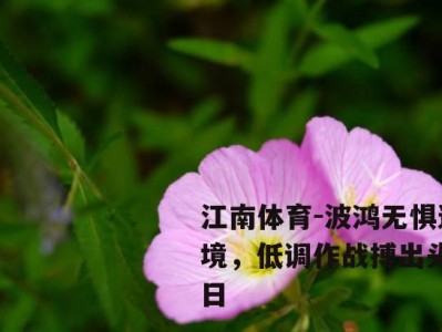 江南体育-波鸿无惧逆境，低调作战搏出头之日