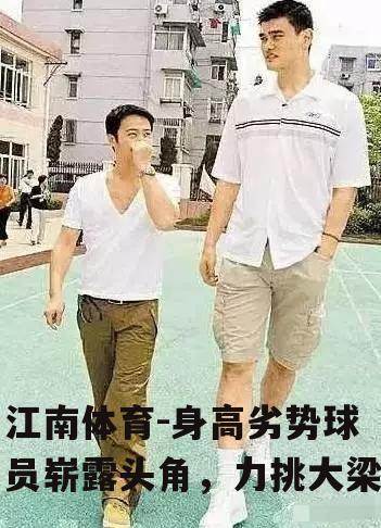 身高劣势球员崭露头角，力挑大梁