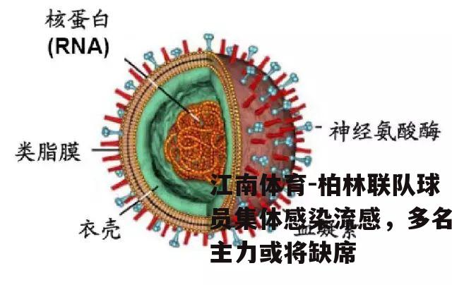 柏林联队球员集体感染流感，多名主力或将缺席