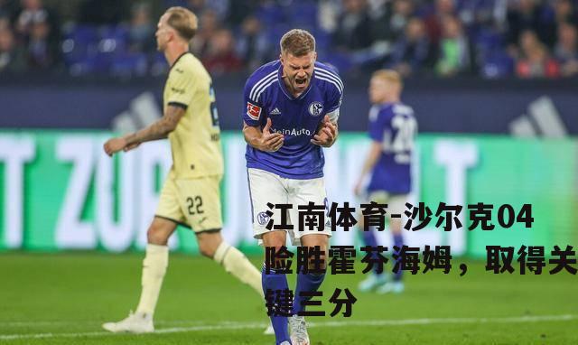 沙尔克04险胜霍芬海姆，取得关键三分