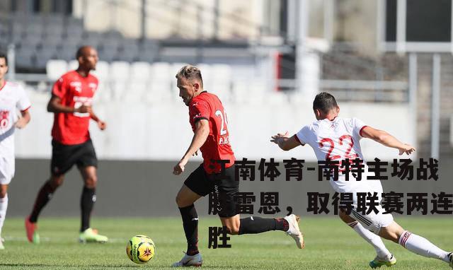 南特主场战胜雷恩，取得联赛两连胜